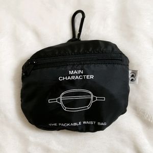 Aritzia Packable Waist Bag